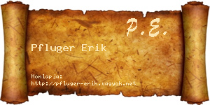 Pfluger Erik névjegykártya